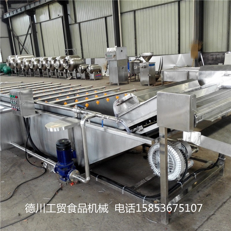 花生毛豆氣泡清洗機 中藥材氣泡清洗設(shè)備 西紅柿氣泡清洗機