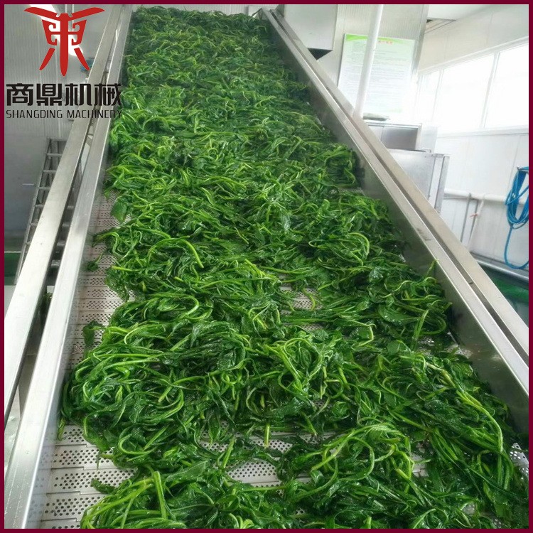果蔬清洗機 氣泡沖浪噴淋臭氧洗果機 臭氧去農(nóng)殘清洗設(shè)備