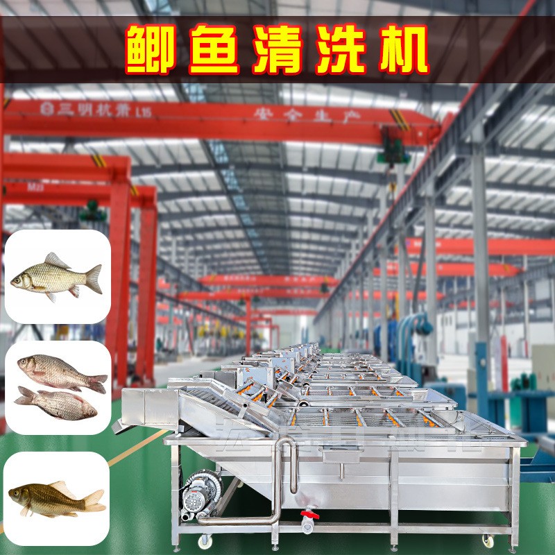 鯽魚清洗加工流水線 全自動鯽魚氣泡清洗機 海產(chǎn)品噴淋清洗設(shè)備