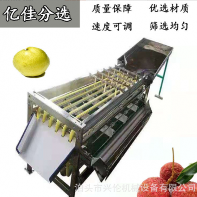 無花果分揀機(jī) 臍橙選果機(jī) 不銹鋼材質(zhì)斜板出料果蔬分選設(shè)備