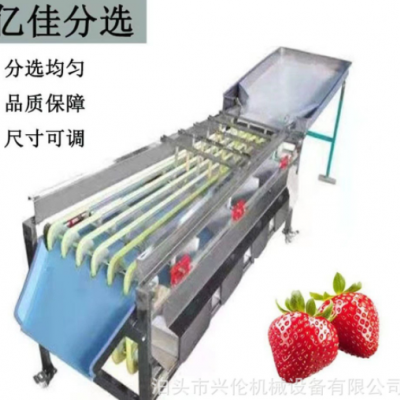 檳郎分級機(jī)冬棗篩選機(jī)橄欖分揀機(jī)山楂篩果機(jī)獼猴桃分選機(jī)