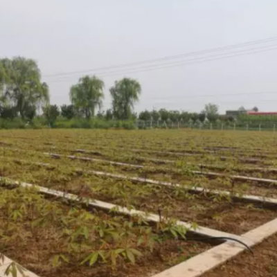 陜西微噴帶廠家_陜西微噴帶銷售_公司_選擇楊凌潤(rùn)沃***