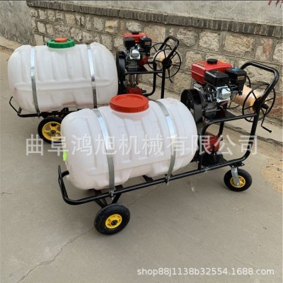 汽油手推式噴霧器 電動(dòng)果園殺蟲(chóng)機(jī) 大棚拉管式噴藥機(jī)