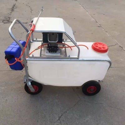 推車(chē)式噴霧消毒一體機(jī)手推式電動(dòng)高壓噴霧機(jī) 大棚蔬菜消毒打藥機(jī)