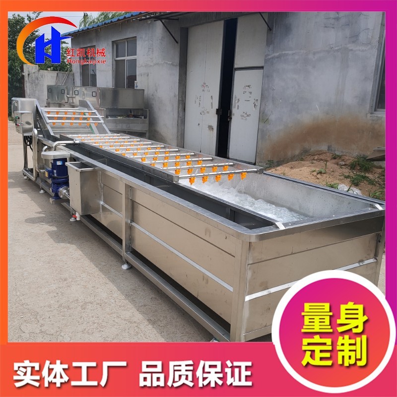 供應(yīng)鼓泡式清洗設(shè)備 蒜米漂皮清洗機(jī) 全自動桃子噴淋式清洗機(jī)