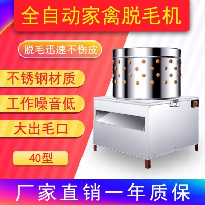 不銹鋼家禽脫毛機(jī)40型大小鳥類鴿子鵪鶉雞鴨鵝電動打毛機(jī)廠家直銷
