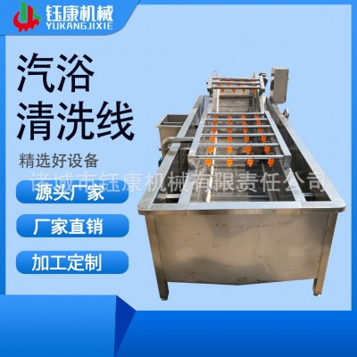 果蔬汽浴清洗線 800型中央廚房蔬菜清洗流水線 清洗漂燙切菜瀝水