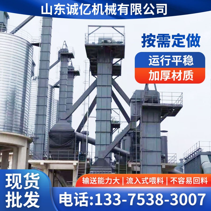 廠(chǎng)家直供NE板鏈提升機(jī)運(yùn)行穩(wěn)定斗式提升機(jī)礦山水泥NE50-100提升機(jī)