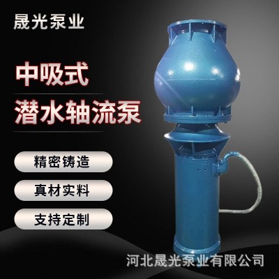 250SGQSZ-5.5-11KW軸流式潛水電泵農(nóng)田灌溉海水養(yǎng)殖水利泵站 專用