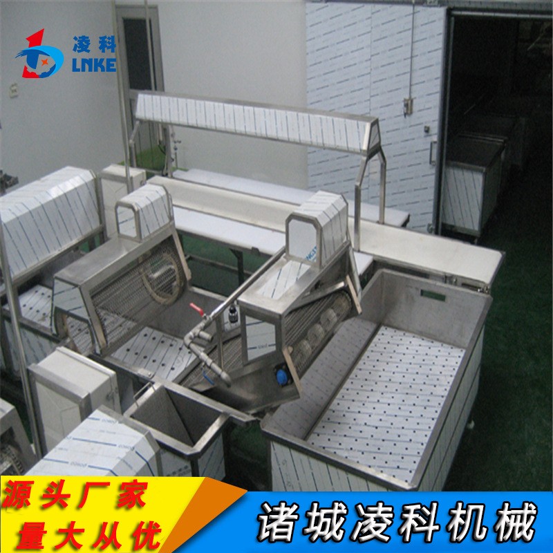 大型果蔬氣泡清洗機商用酸菜全套加工設(shè)備全自動清洗加工流水線