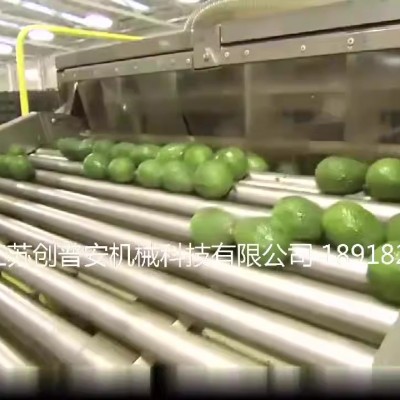 鱷梨牛油果泥果醬果油提取加工生產(chǎn)線設(shè)備機(jī)械