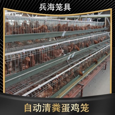 三層階梯式蛋雞籠輸送帶清糞省人工自動(dòng)養(yǎng)殖設(shè)備養(yǎng)雞設(shè)備自動(dòng)化