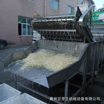 全自動豆芽清洗機(jī) 商用綠豆芽清洗機(jī) 源頭工廠大型綠豆芽清洗設(shè)備