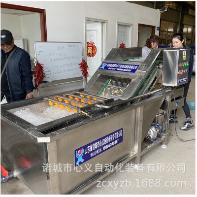 馬青菜清洗加工流水線(xiàn) 小油菜凈菜加工整線(xiàn)工程線(xiàn) 小白菜加工設(shè)備