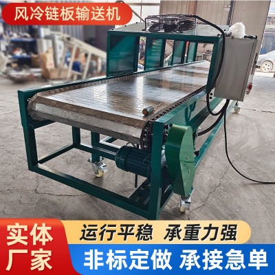 不銹鋼風(fēng)冷鏈板輸送機食品果蔬冷卻運輸流水線不銹鋼鏈板傳送帶