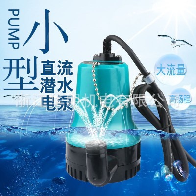 直流水泵家用抽水機農(nóng)用澆地小型潛水泵船用艙底泵自配電瓶使用