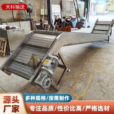 鏈板提升機(jī)廠家直供 小型電動斗式上料機(jī)流水線 鏈板式爬坡提升機(jī)