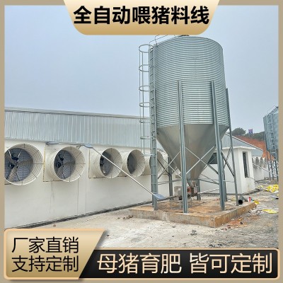 豬場全自動(dòng)料線 養(yǎng)豬喂料設(shè)備 豬場養(yǎng)殖設(shè)備 塞盤絞龍料塔配件料