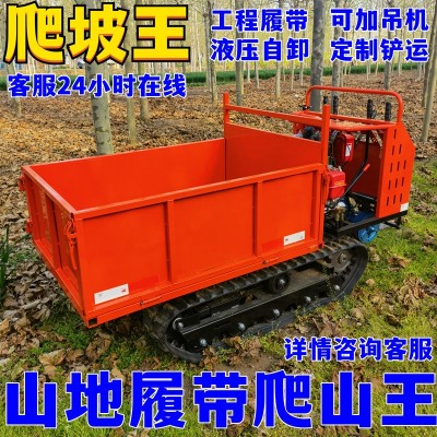 履帶運輸車爬山虎工程農(nóng)用山地小型全地形爬坡王自卸四不像拖拉機