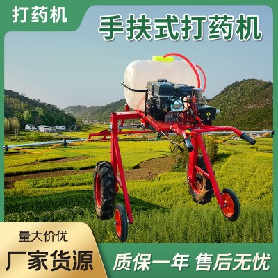 小型農(nóng)用打藥機(jī) 手扶式土豆蔬菜大棚噴藥機(jī) 汽油柴油動(dòng)力噴桿噴霧機(jī)