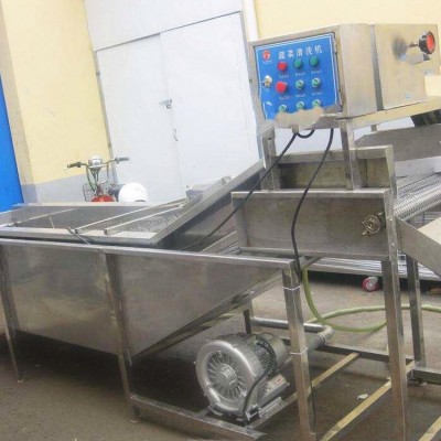 高壓氣泡水果清洗設(shè)備 商用洗菜機(jī)食品去污清洗機(jī)