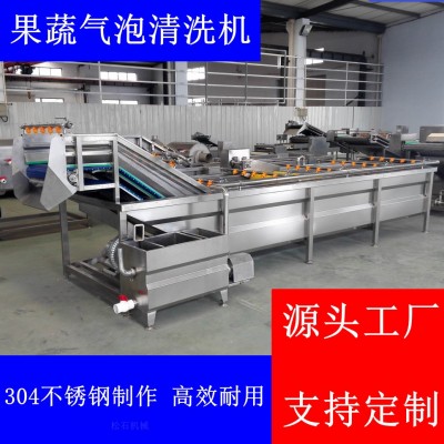 菌菇類山野菜噴淋氣泡清洗加工流水線 軟包裝袋洗袋烘干機(jī) 松石