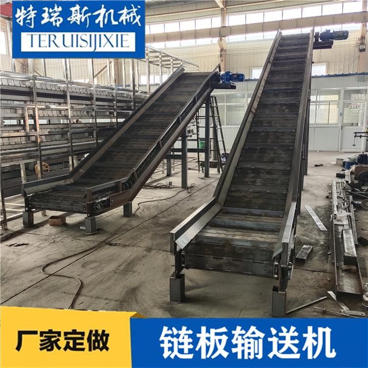 定做鏈板提升機(jī) 不銹鋼材質(zhì)可沖孔 清洗線必備板鏈爬坡機(jī) 特瑞斯