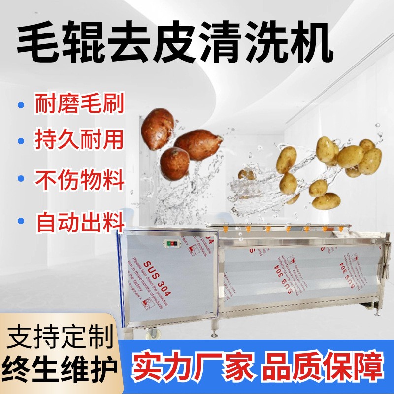 土豆紅薯毛輥清洗機(jī)海蠣子去泥清洗設(shè)備豬蹄三七芋頭去皮清洗機(jī)