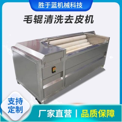 全自動海蠣子扇貝清洗機 大蔥去皮清洗設(shè)備 獼猴桃毛輥清洗機