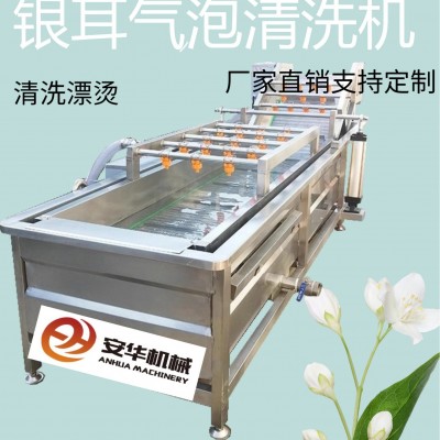 全自動果蔬氣泡清洗機藍莓圣女果銀耳毛豆清洗機臭氧果蔬消毒設(shè)備