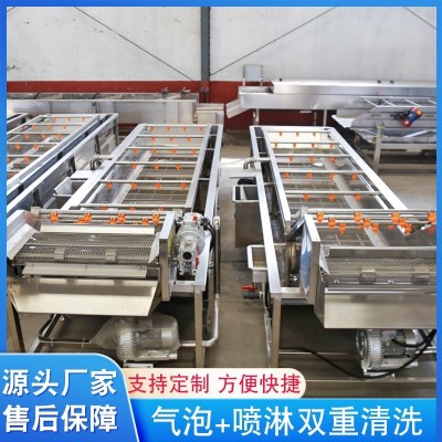 大型果蔬氣泡清洗機(jī)設(shè)備 洗毛肚食材氣泡翻滾洗菜機(jī) 廠家供應(yīng)