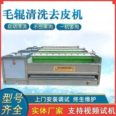 現(xiàn)貨土豆去皮機脫皮機 9根木薯洋蔥去皮機 毛刷毛輥清洗機
