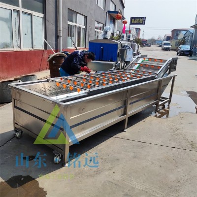 小米辣氣泡清洗機(jī)多功能噴淋洗菜流水線果蔬氣泡清洗機(jī)藥材清洗機(jī)