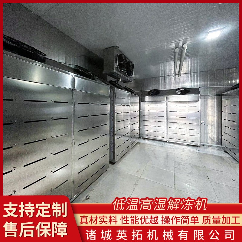 雞鴨魚(yú)低溫高濕解凍機(jī) 肉禽類(lèi)解凍房 牛羊肉解凍設(shè)備豬肉緩化間