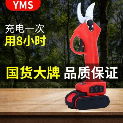 果樹充電式鋰電剪電剪電動(dòng)剪刀修枝剪刀園林充電式修剪樹枝大功率