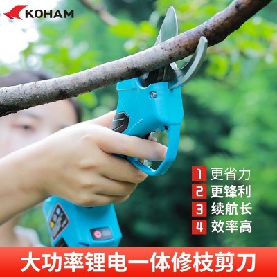 嘉航電動(dòng)修枝剪2.5公分兩電一充果樹(shù)剪園林修枝剪家用綠化鋰電剪