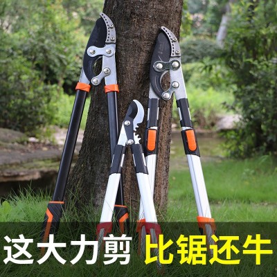 跨境外貿(mào)粗枝剪大力剪伸縮果樹修枝剪加長SK5園林剪刀強力樹枝剪