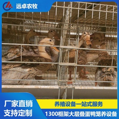 全自動(dòng)撿蛋蛋雞養(yǎng)雞場(chǎng)設(shè)備 安徽宣城四列五層疊蛋鴨籠自動(dòng)化