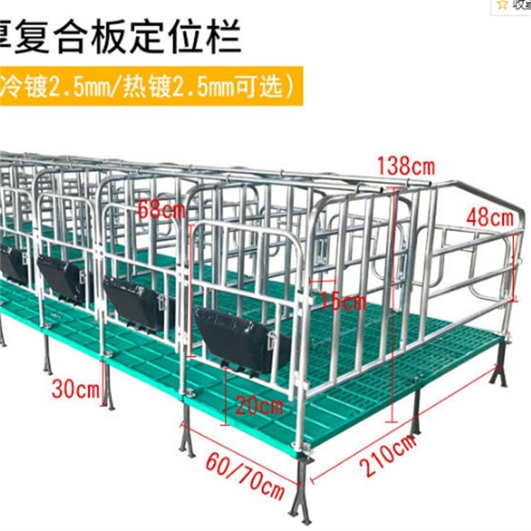 定制 母豬限位欄 加厚定位欄 養(yǎng)豬場育肥舍圈欄