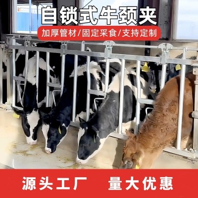 養(yǎng)牛廠自鎖式牛頸枷單雙開活位奶牛場設(shè)備牧場加厚熱鍍鋅牛頸夾