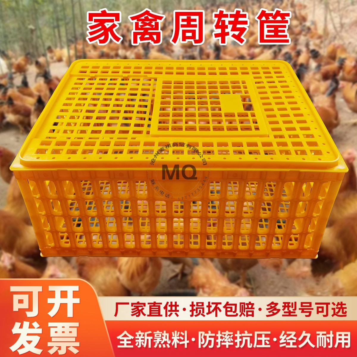 雞籠周轉(zhuǎn)箱家用特大號雞籠子鴨鴿兔雞用家禽運(yùn)輸筐養(yǎng)殖籠塑料雞框