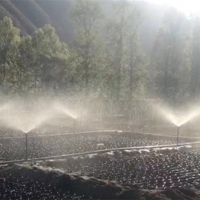 大田噴灌